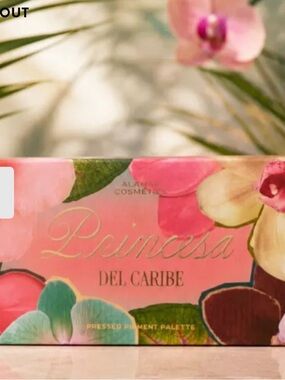 Princesa Del Caribe Pink Palette- Brand New